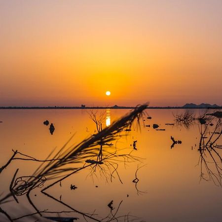 Taghaghien Island Resort Siwa Oasis Bagian luar foto