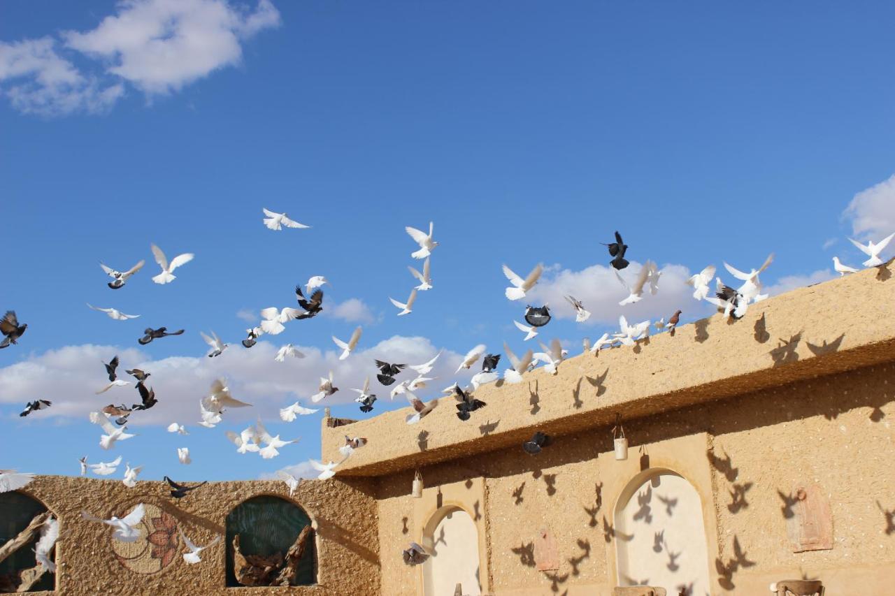 Taghaghien Island Resort Siwa Oasis Bagian luar foto