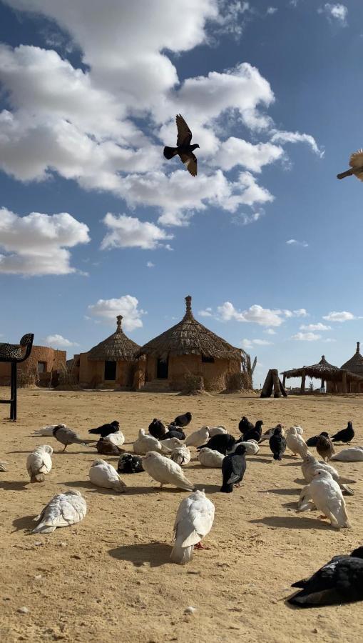 Taghaghien Island Resort Siwa Oasis Bagian luar foto